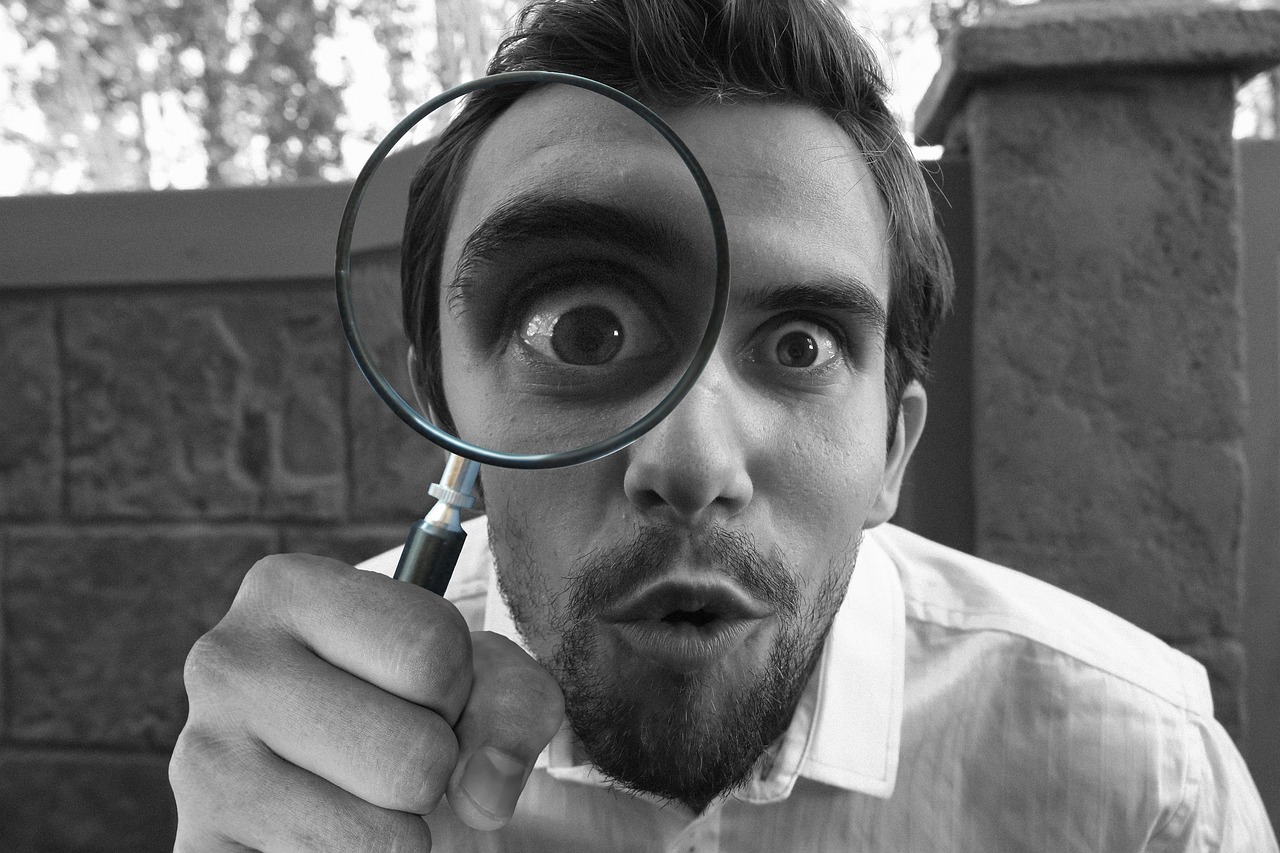 magnifying, glass, detective-4340698.jpg